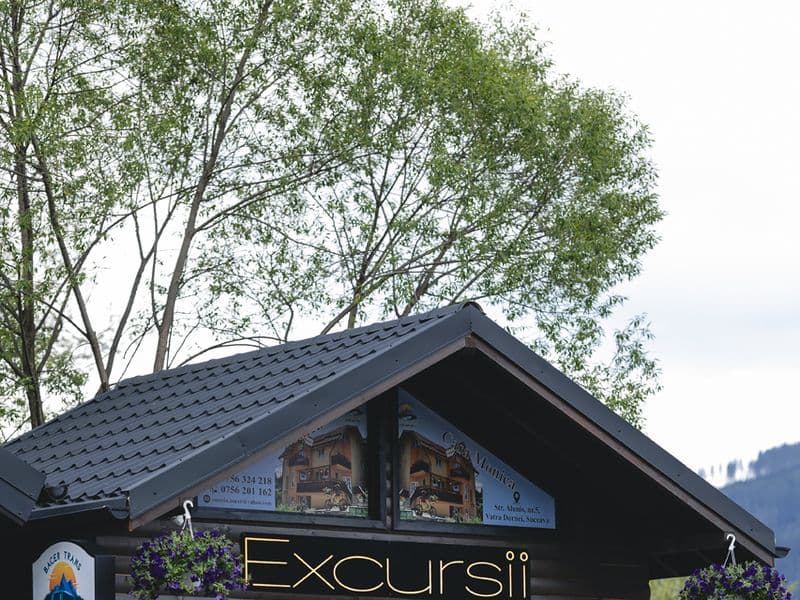 Bacer Trans — excursii de o zi