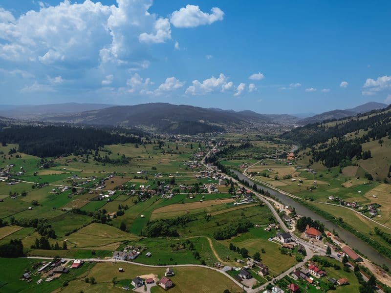 Dorna Arini