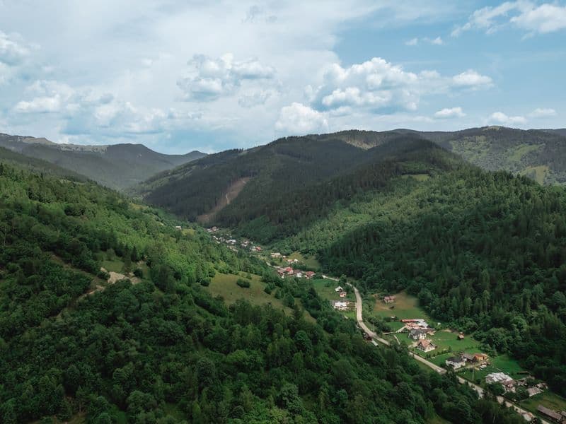 Crucea