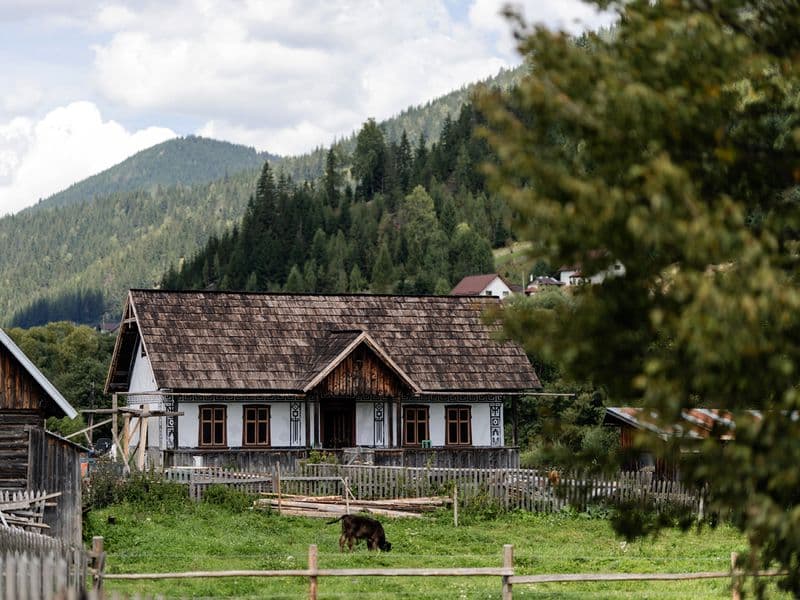 Ciocănești