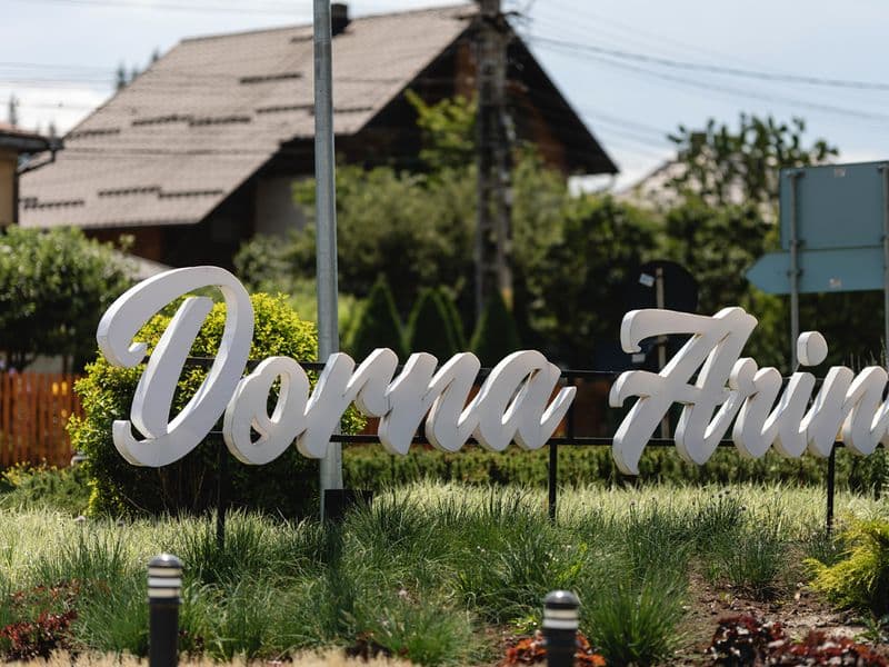Dorna Arini
