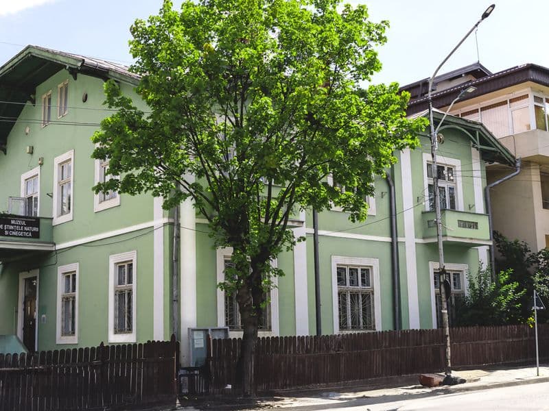 Vatra Dornei