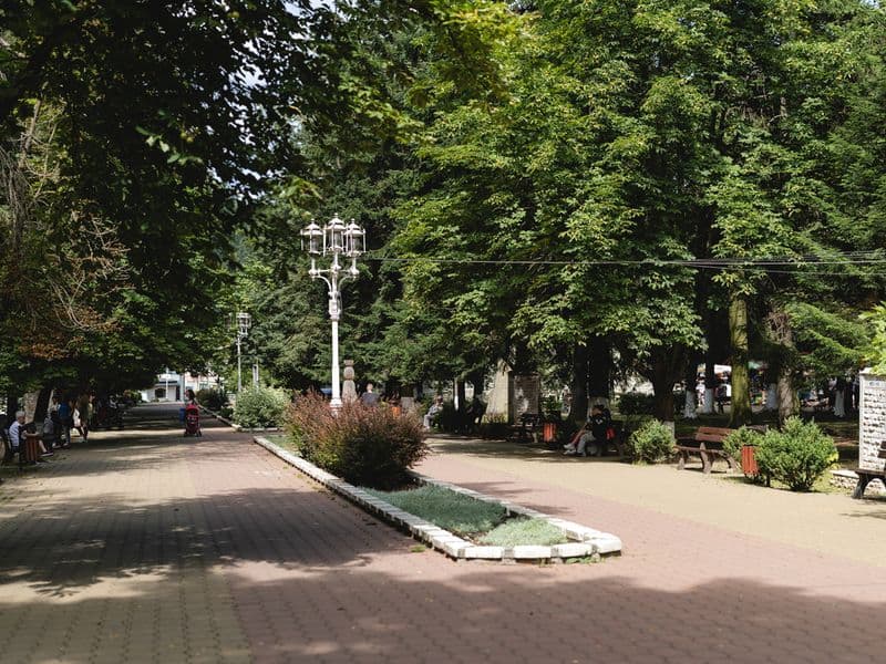 Vatra Dornei