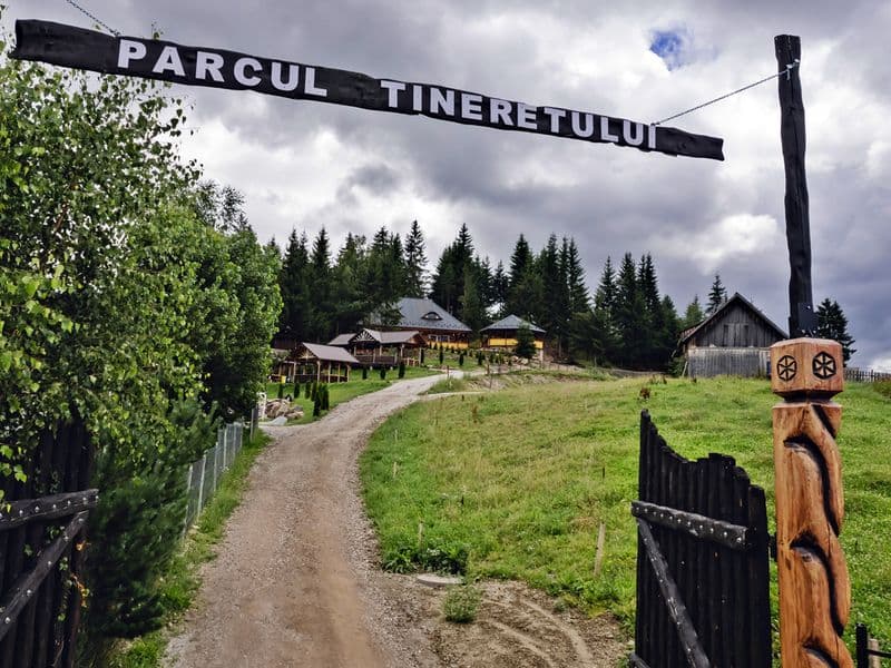 Panaci